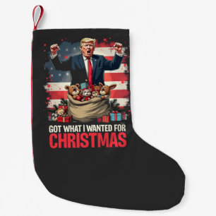Heb wat ik wilde voor Kerstmis Trump Santa Kleine Kerstsok