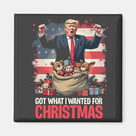 Heb wat ik wilde voor Kerstmis Trump Santa Magneet (Voorkant)
