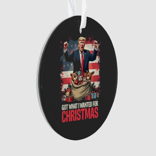 Heb wat ik wilde voor Kerstmis Trump Santa Ornament (voorkant)