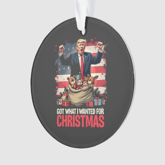 Heb wat ik wilde voor Kerstmis Trump Santa Ornament (voorkant)