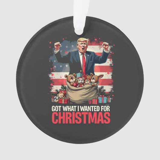 Heb wat ik wilde voor Kerstmis Trump Santa Ornament (voorkant)