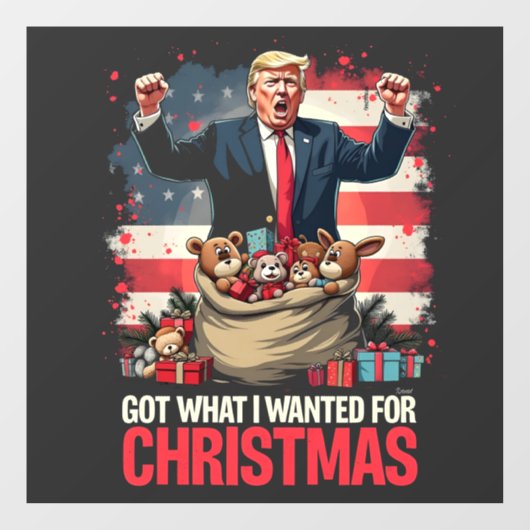 Heb wat ik wilde voor Kerstmis Trump Santa Raamsticker (Vel)