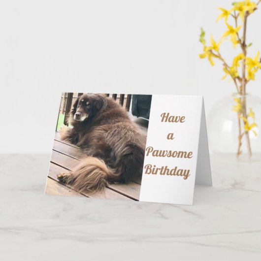 HEBBEN EEN **PAWSOME GROTE DAG** KAART (Gele Bloem)