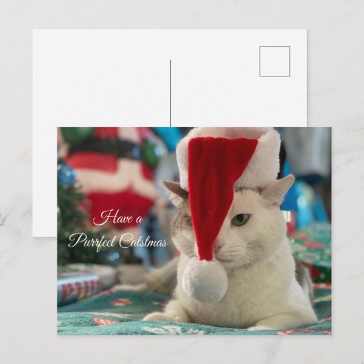 Hebben een perfecte Catsmas Grappige Kerstkat Feestdagenkaart (Voorkant / Achterkant)