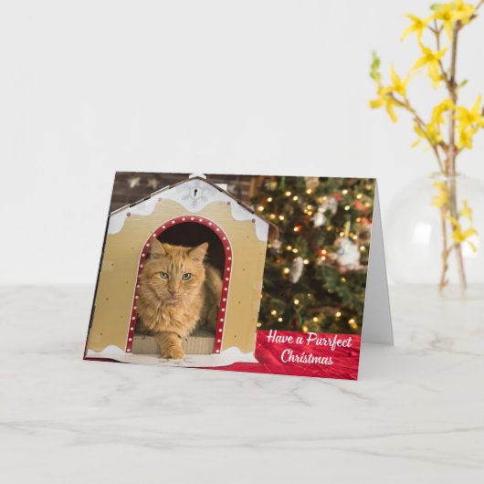 Hebben een perfecte kerst schattige kat in kat hui kaart (Gele Bloem)