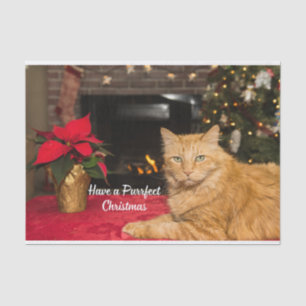 Hebben een perfecte kerst schattige Oranje kat Tissuepapier