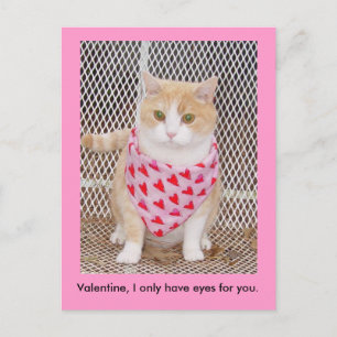 Hebben slechts ogen voor u feestdagenkaart