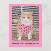 Hebben slechts ogen voor u feestdagenkaart (Voorkant)