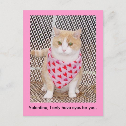 Hebben slechts ogen voor u feestdagenkaart (Voorkant)