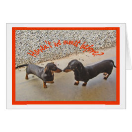 Hebben we elkaar al eerder ontmoet?Humor