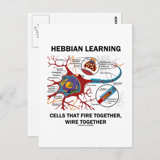 Hebbian Learning Cells Fire Together Wire Samen Briefkaart (Voorkant / Achterkant)