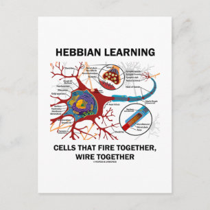Hebbian Learning Cells Fire Together Wire Samen Briefkaart
