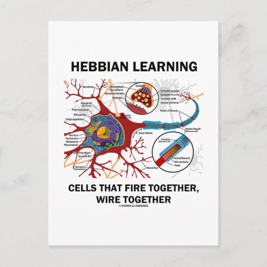 Hebbian Learning Cells Fire Together Wire Samen Briefkaart (Voorkant)