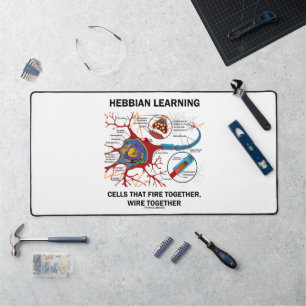 Hebbian Learning Cells Fire Together Wire Samen Bureaumat