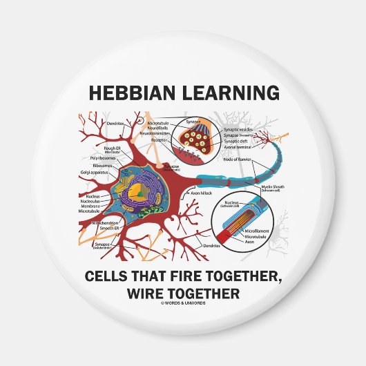 Hebbian Learning Cells Fire Together Wire Samen Magneet (Voorkant)