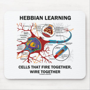 Hebbian Learning Cells Fire Together Wire Samen Muismat