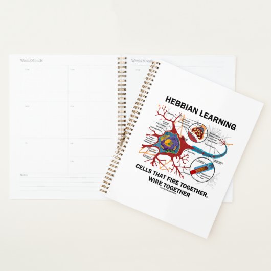Hebbian Learning Cells Fire Together Wire Samen Planner (Display)