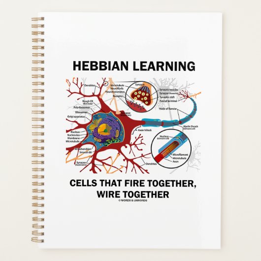 Hebbian Learning Cells Fire Together Wire Samen Planner (Voorkant)