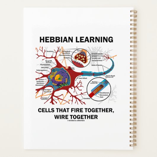 Hebbian Learning Cells Fire Together Wire Samen Planner (Achterkant)
