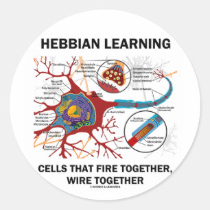 Hebbian Learning Cells Fire Together Wire Samen Ronde Sticker