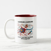 Hebbian Learning Cells Fire Together Wire Samen Tweekleurige Koffiemok (Links)