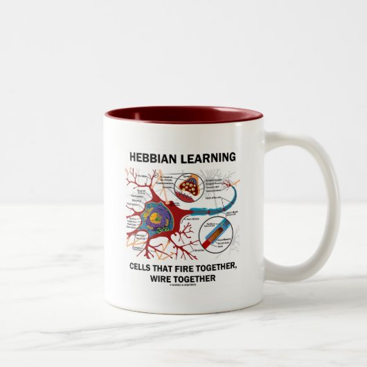 Hebbian Learning Cells Fire Together Wire Samen Tweekleurige Koffiemok (Rechts)