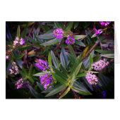 Hebe Mauve Fingers Kaart (Voorkant Horizontaal)