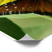 Hebreeuws 11:1 vlinderdruk poster (Hoek)