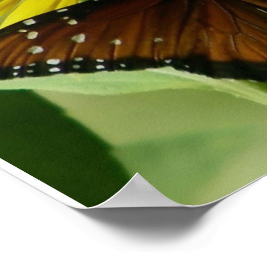 Hebreeuws 11:1 vlinderdruk poster (Hoek)