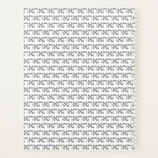 Hebreeuws Aleph Tav Silver Planner (Achterkant)