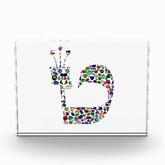 Hebreeuwse letter 'TET' Fotoblokken (Voorkant)