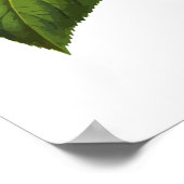 Hebreeuwse verlichting voor kaarsen uit Shabbat Hy Poster (Hoek)