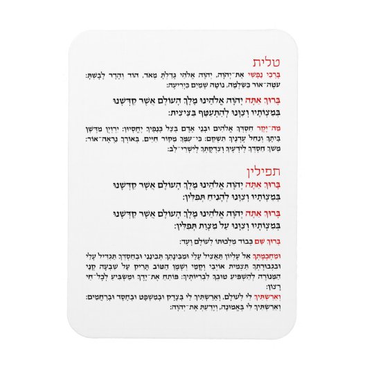 Hebreeuwse zegels voor Tallit en Tefillin Magneet (Verticaal)