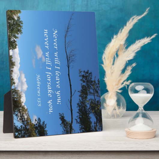 Hebrews 13:5 Never will I leave you Fotoplaat (Zijkant)