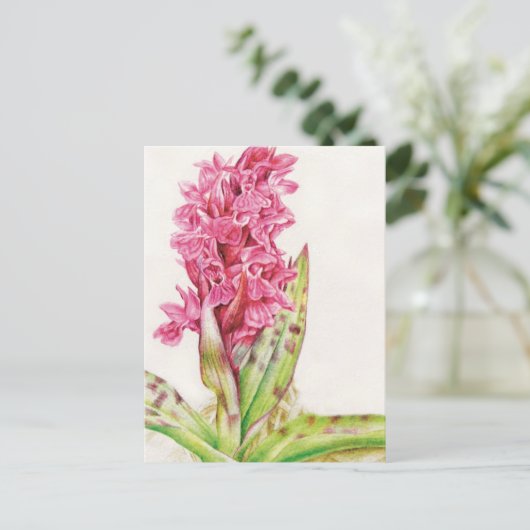 Hebrideaui orchid fine art waterverf briefkaart (Staand voorkant)