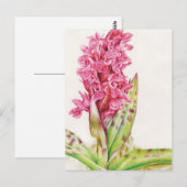 Hebrideaui orchid fine art waterverf briefkaart (Voorkant / Achterkant)