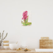Hebridische orchidee: Dactylorhza majalis Poster (Keuken)