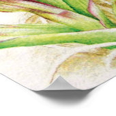 Hebridische orchidee: Dactylorhza majalis Poster (Hoek)
