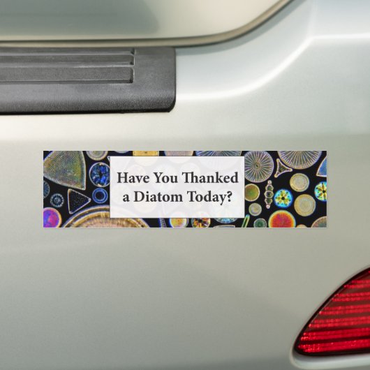 Hebt u een achtergrond van Diatom bedank Bumpersticker (Op auto)