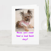 Hebt u ooit een slechte haardag gehad? kaart (Voorkant)