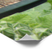 Hebzuchtige Groene Vink Print (Hoek)