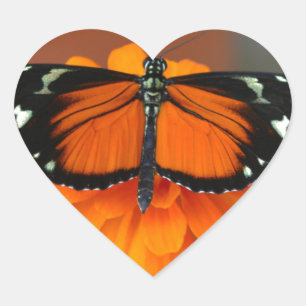 Hecale Longwing Butterfly Hart Sticker