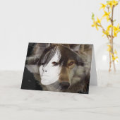 Hecate in het maanlicht (kaart) kaart (Gele Bloem)