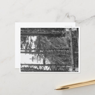 Heceta Head Lighthouse Briefkaart b&w