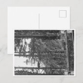 Heceta Head Lighthouse Briefkaart b&w (Voorkant / Achterkant)