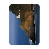 Heceta Head Lighthouse, Cape Creek, Oregon, Vereni Magneet (Verticaal)