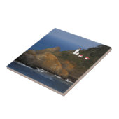 Heceta Head Lighthouse, Cape Creek, Oregon, VS Tegeltje (Zijkant)