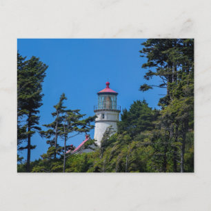 Heceta Head Lighthouse   kust van Oregon   Briefka Briefkaart