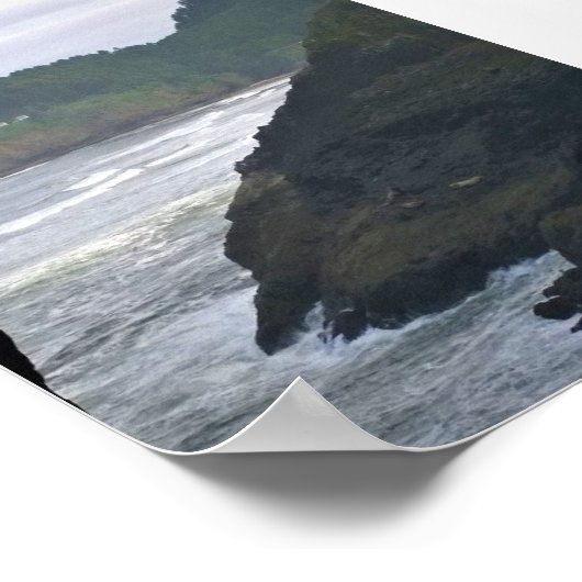 Heceta Head Lighthouse & Zee Lions, OF Poster (Hoek)