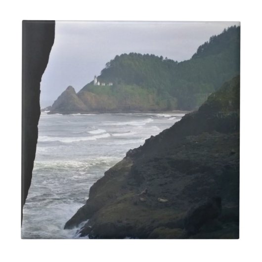 Heceta Head Lighthouse & Zee Lions, OF Tegeltje (Voorkant)